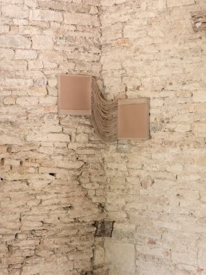 Apsara Studio - TERRA 2025. Burgundy, France