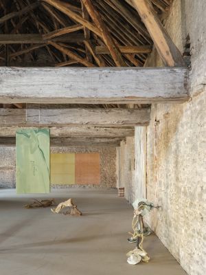 Apsara Studio - TERRA 2025. Burgundy, France