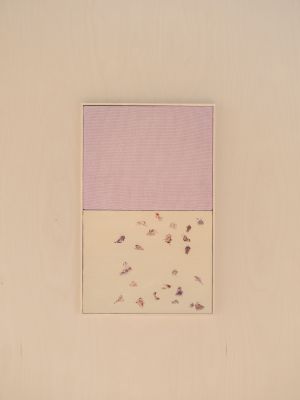 Apsara Studio - CAIM 2025. Slane Castle, Ireland