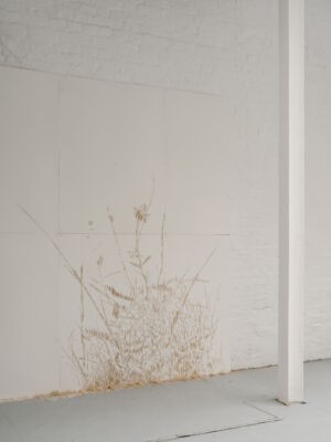 Apsara Studio - 'Look How Brightly'. Sentient Projects, London